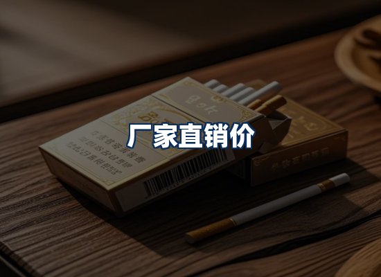 专业团队办公环境